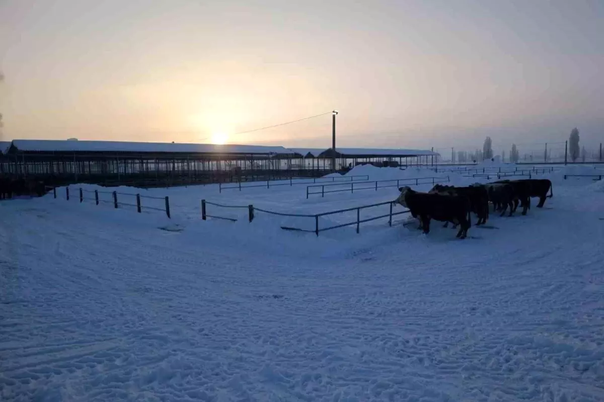 Türkiye\'nin en büyük hayvan pazarı ağır kış şartları nedeniyle kapatıldı
