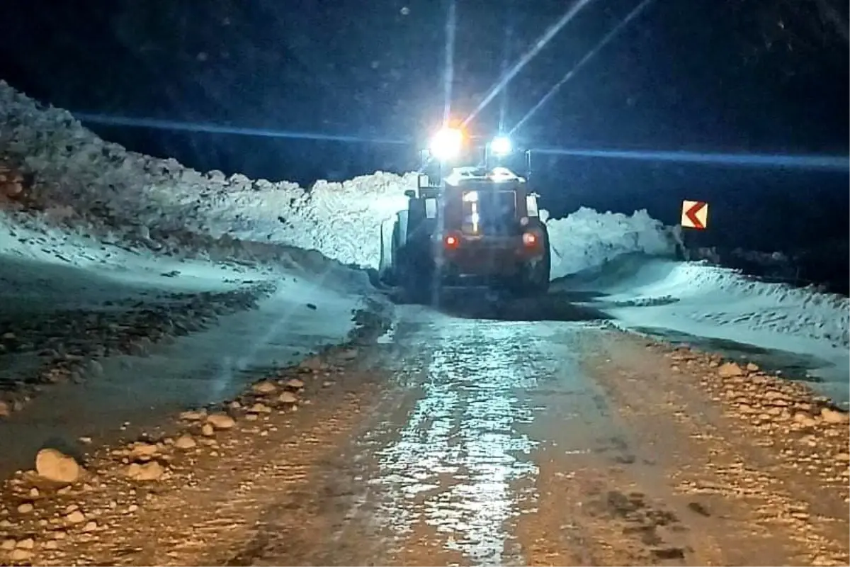 Gümüşhane\'de Yoğun Kar Yağışı Çığa Neden Oldu