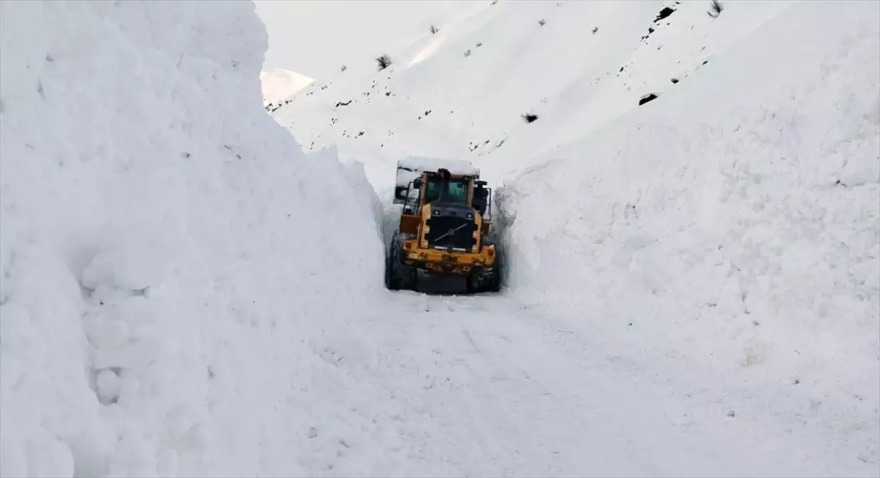 Yüksekova\'da Çığ Temizlendi
