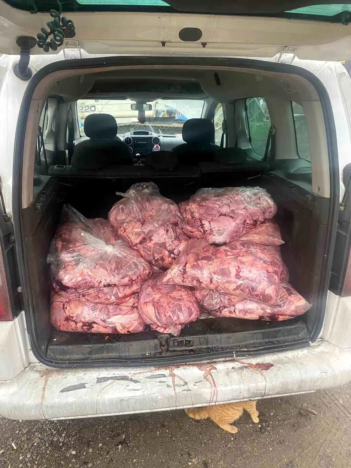 Jandarmanın durdurduğu araçtan 450 kilo bozulmuş et çıktı