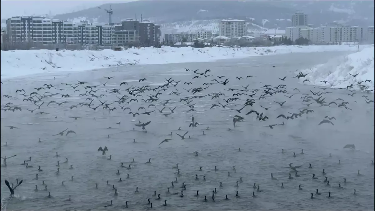 Sivas\'ta Karabatak Ziyareti