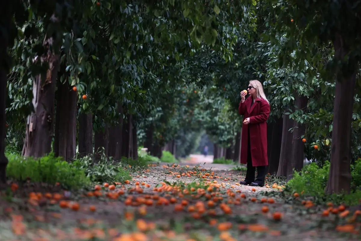 Antalya\'nın Turunç Yolu Fotoğraf Cenneti
