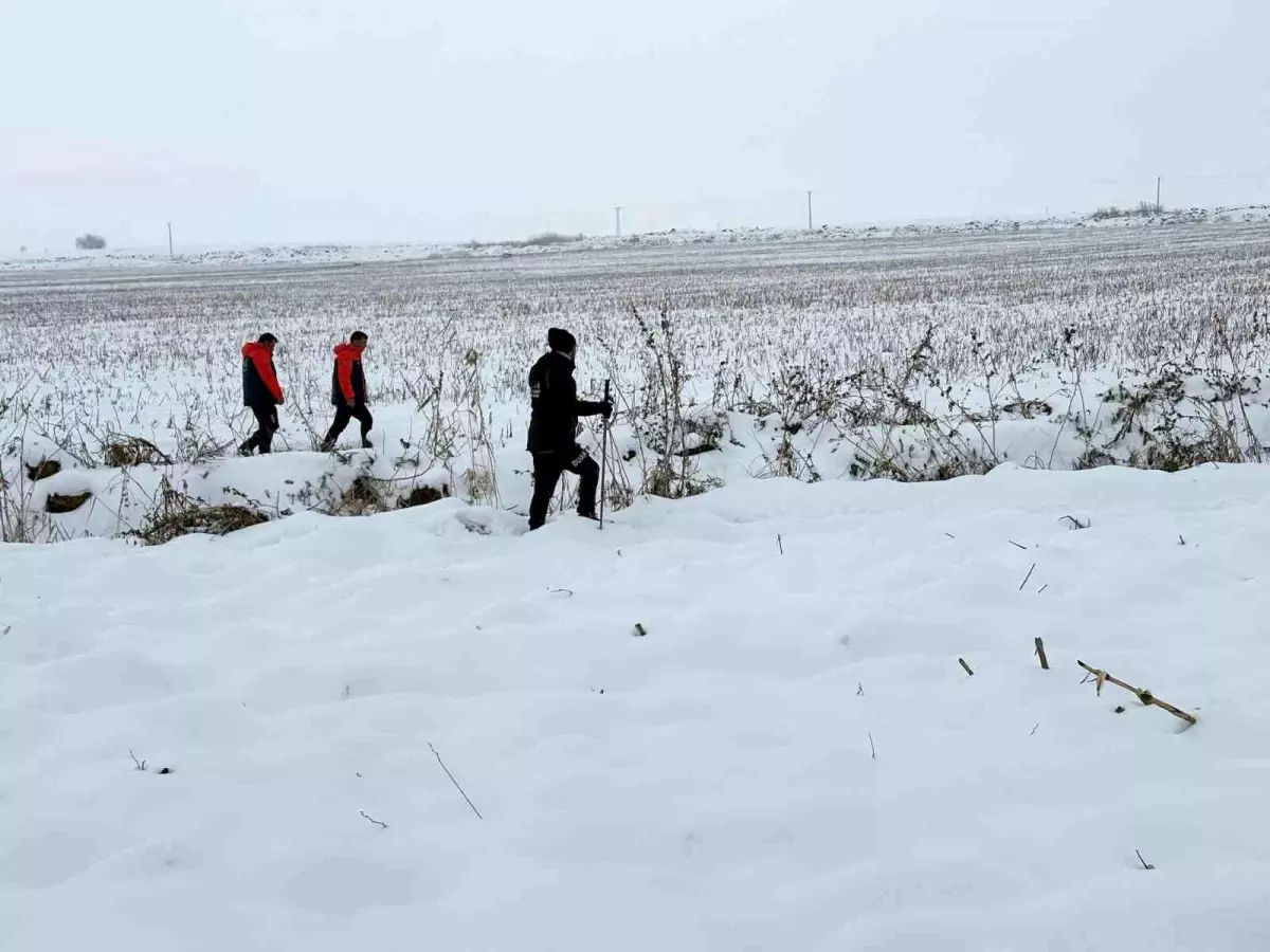 Çınar\'da Kayıp Kadın İçin Arama Çalışmaları Devam Ediyor