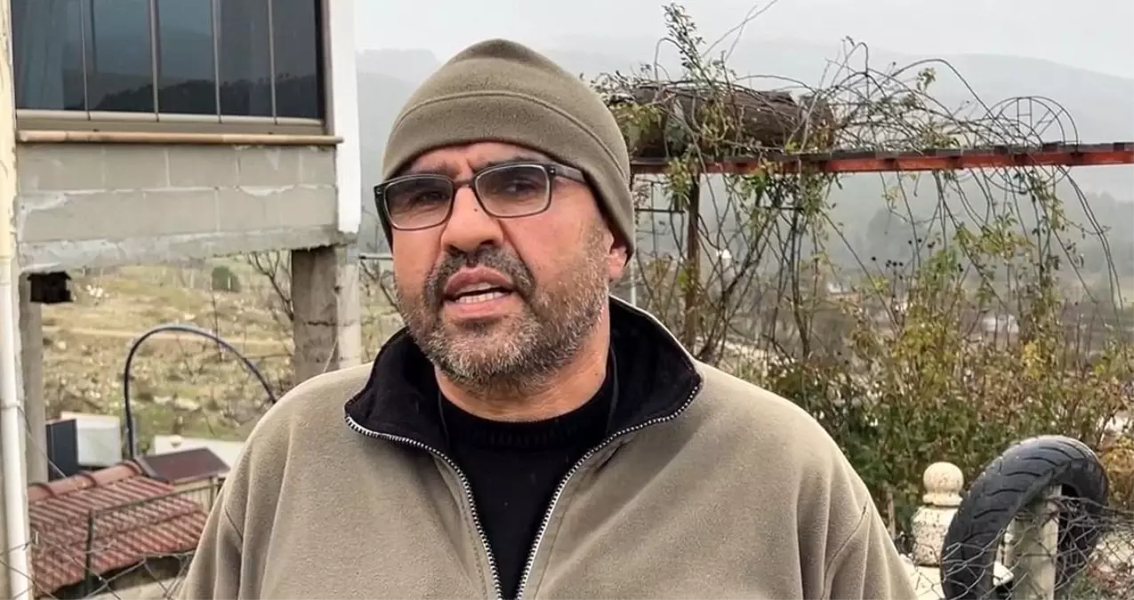 Sokak Köpekleri Sahipli Köpeği Parçaladı