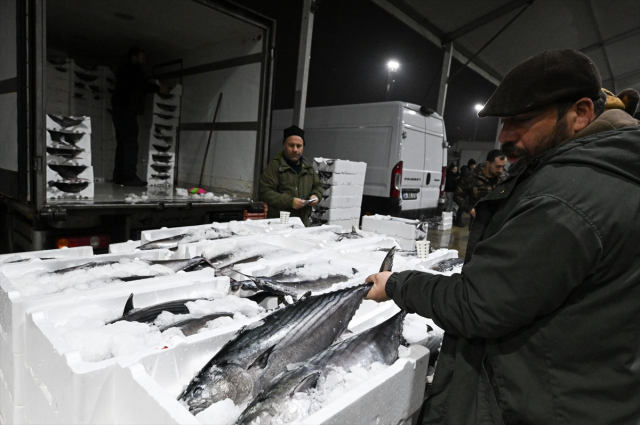 40 yıl sonra Marmara'ya döndü! Fiyatı 3 bin 500 TL