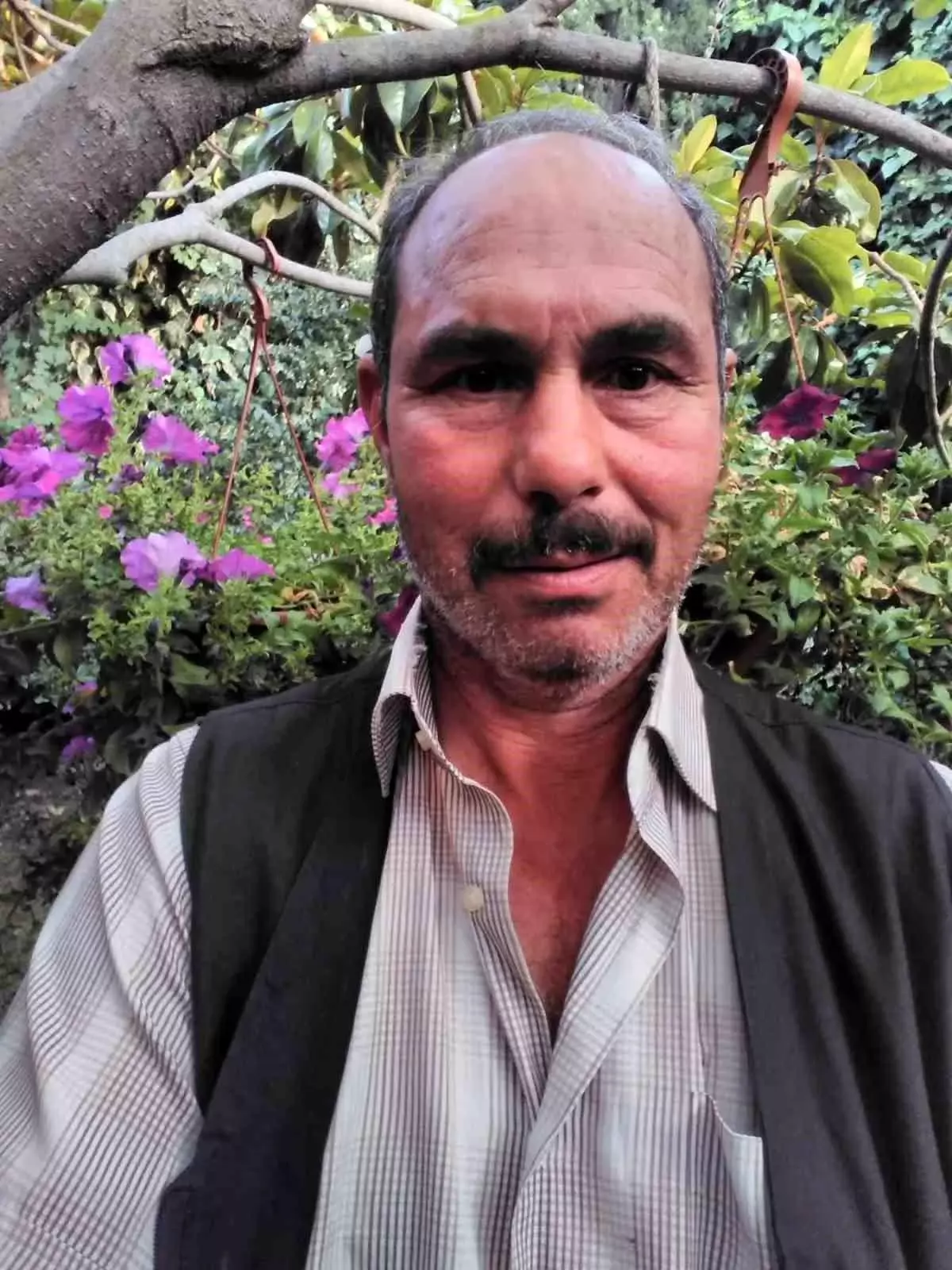 Ayvacık\'ta Besici Ölü Bulundu