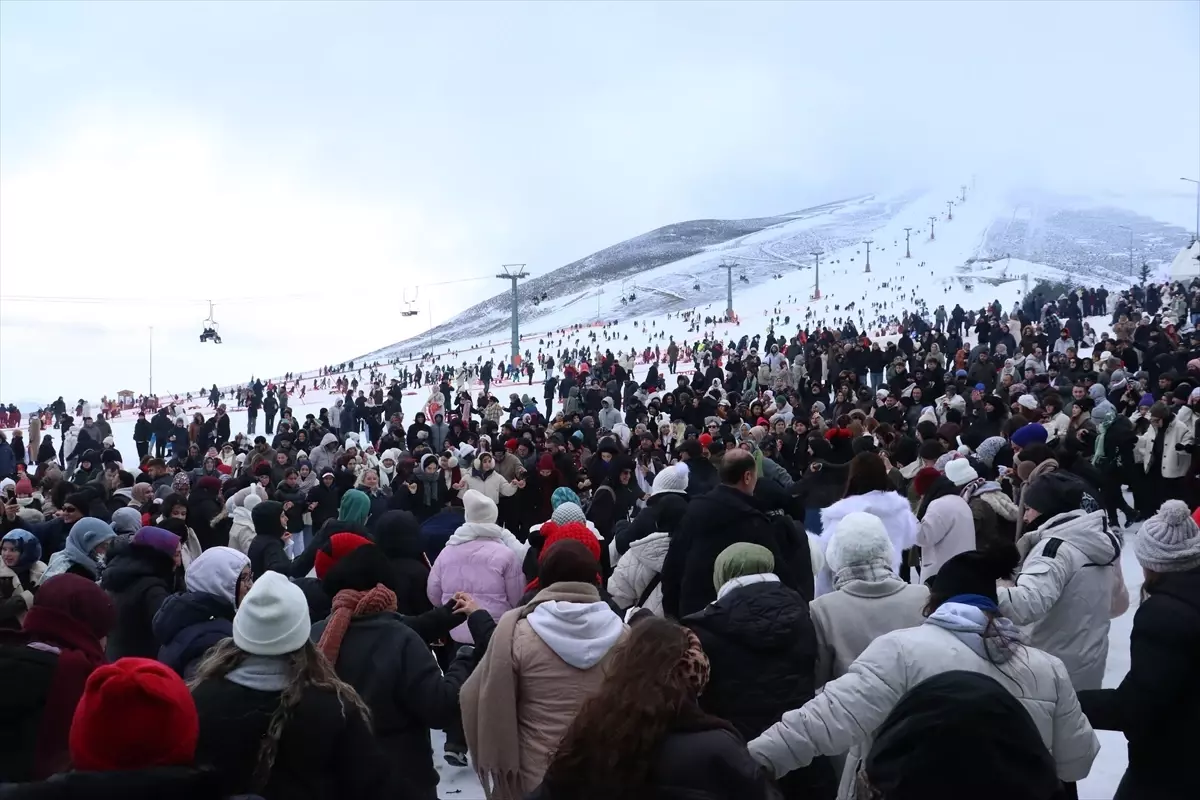 Ladik\'te 1 Ton Hamsi İkramı