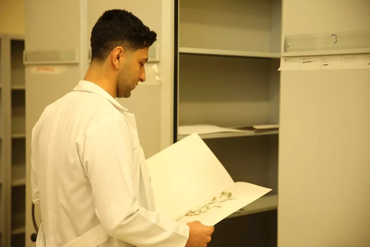 Siirt\'te 2000 Bitki Örneği Teşhis Edilecek