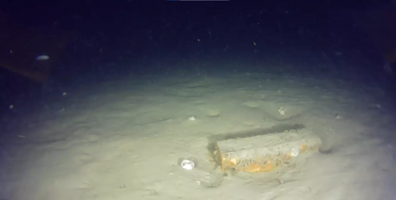 THY\'nin 50 yıl önce düşen uçağının enkazından yeni parçalar bulundu