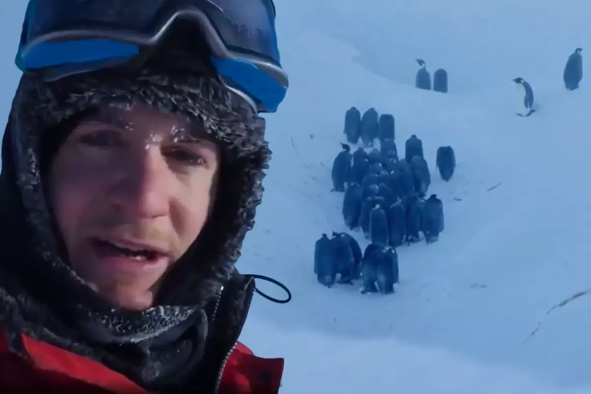 Vahşi yaşam ekibinden belgesel tarihine geçecek müdahale! Sosyal medya ikiye bölündü