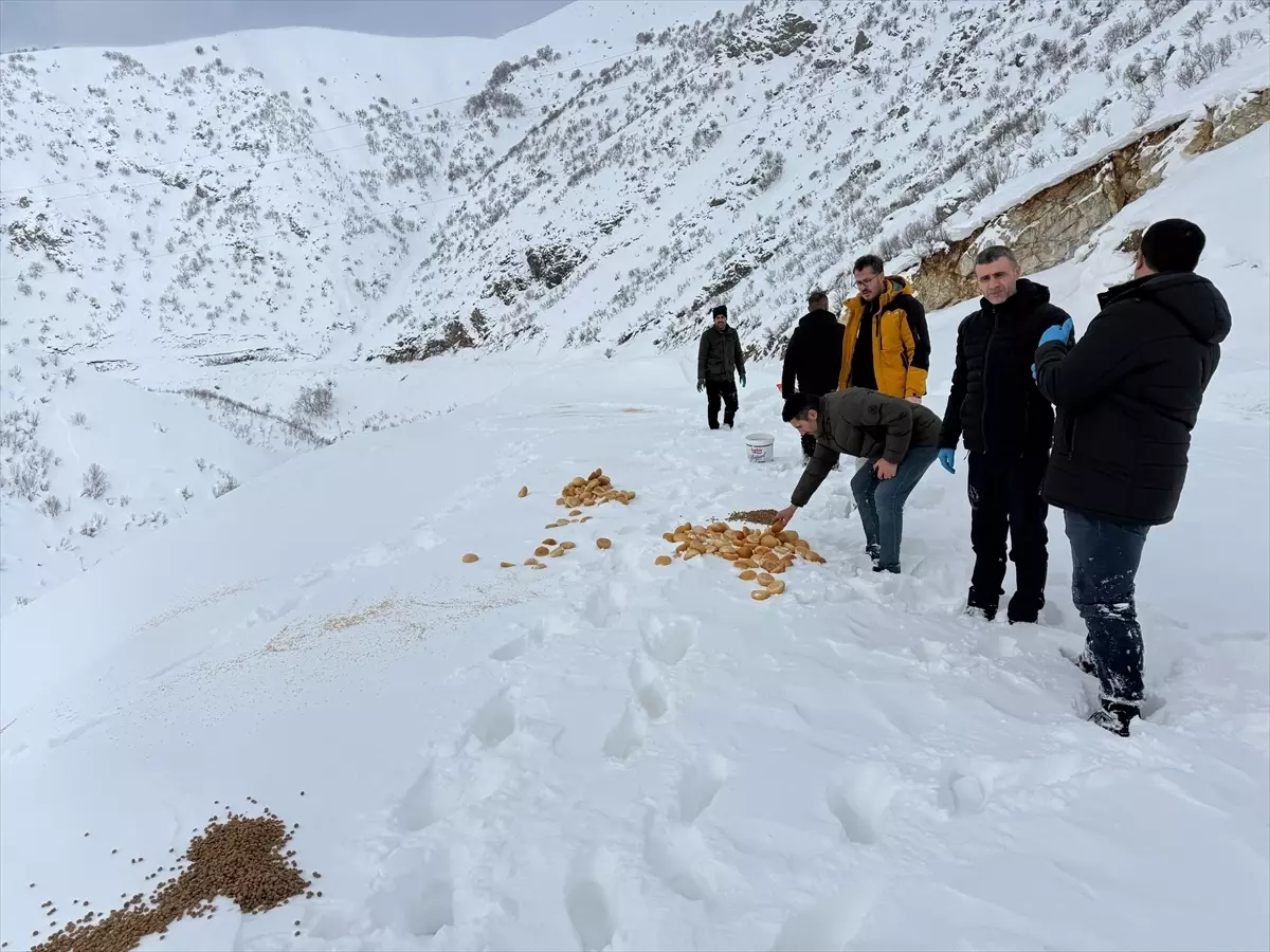 Doğu Anadolu\'da Kar Sebebiyle Yollar Kapandı