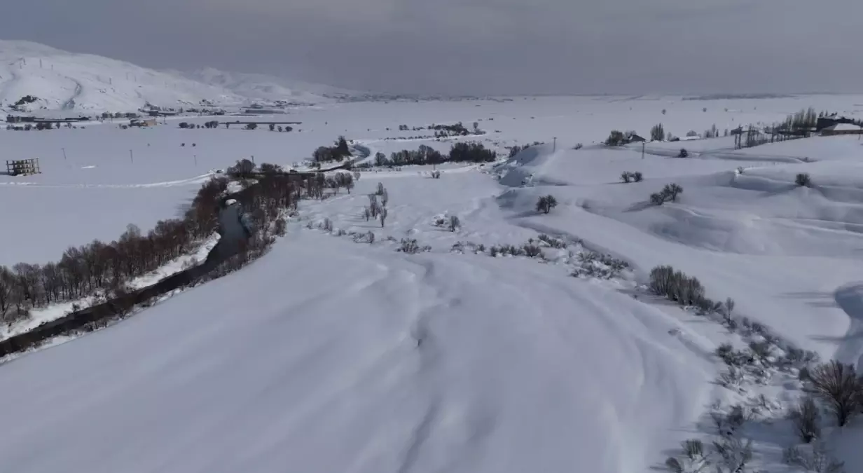 Buz Tutan Derede Ördekler Görüntülendi