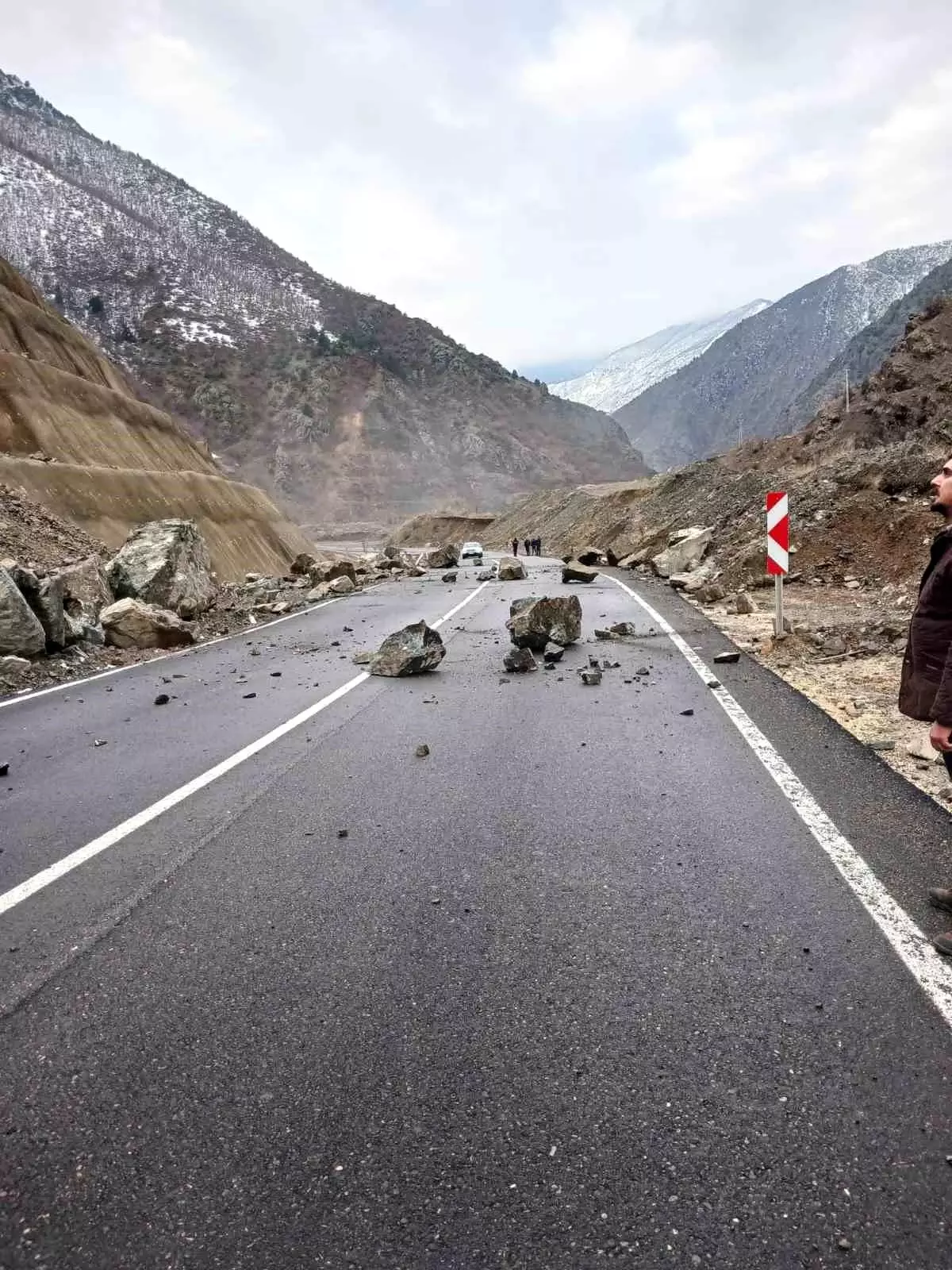 Artvin\'de Heyelan: Olası Facia Önlenmiş