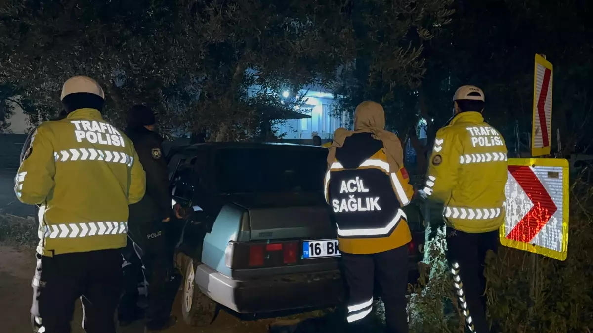 İznik\'te Kaza: Otomobil Zeytin Ağacına Çarptı