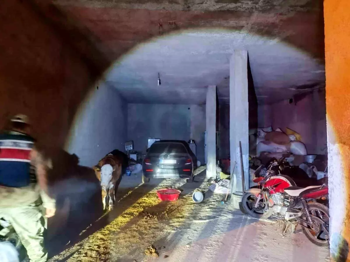 Çalıntı Otomobil Saklayan Şahıs Gözaltında