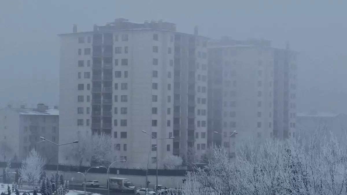 Diyarbakır\'da Yoğun Sis ve Kırağı