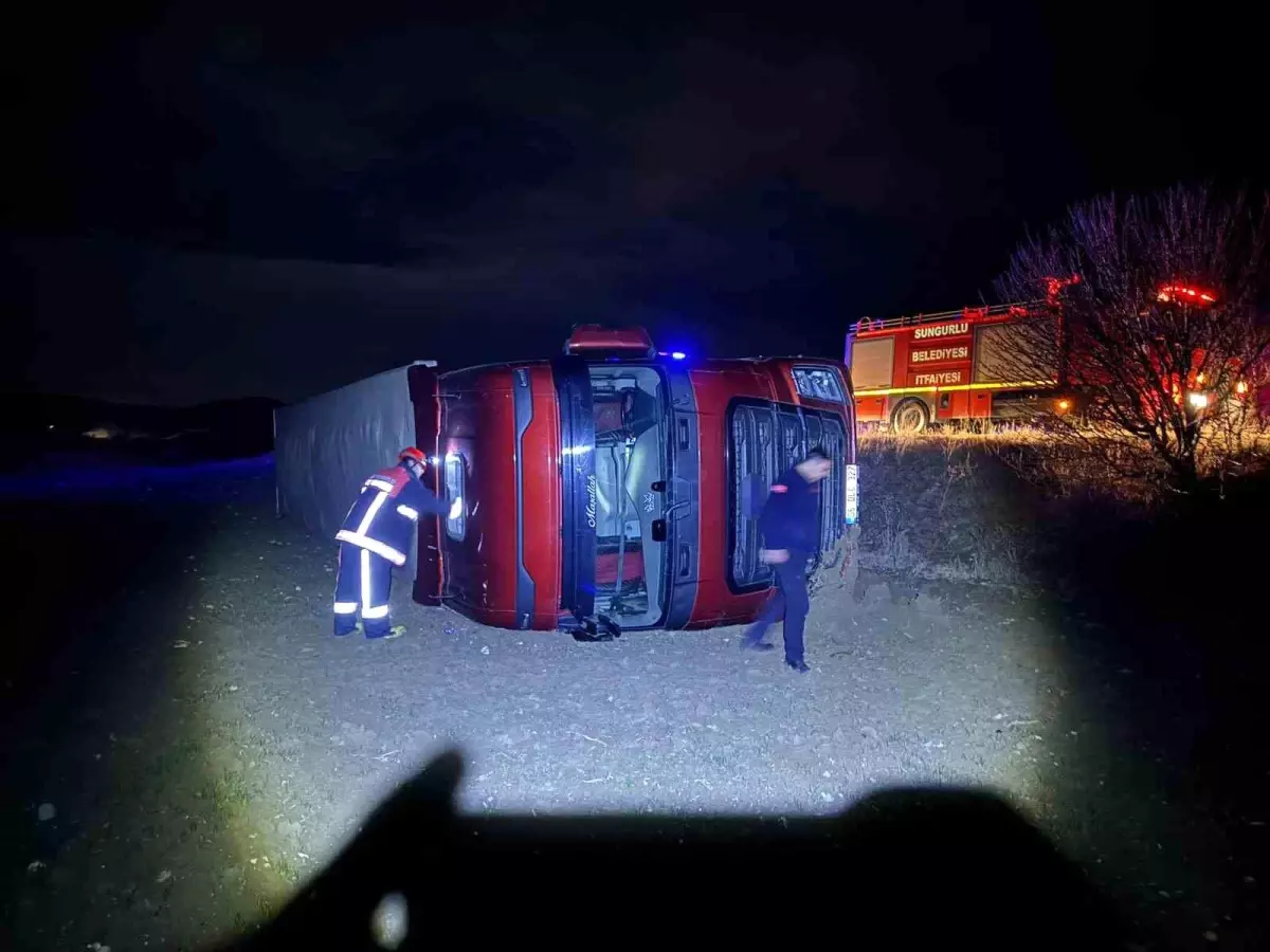 Köpeğe çarpmamak için manevra yaptı, tır şarampole devrildi: 1 yaralı