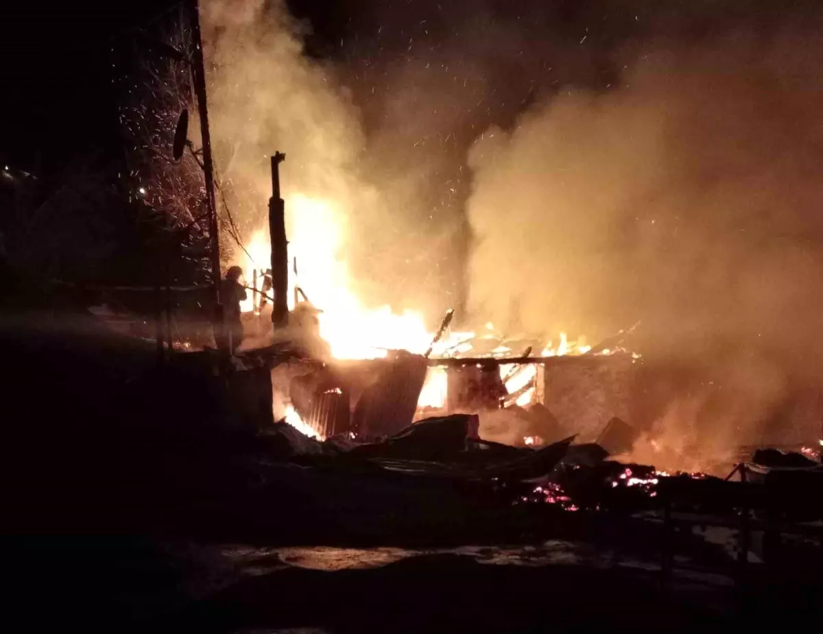 Ordu\'da evini ateşe veren şahıs ağaçta asılı halde bulundu