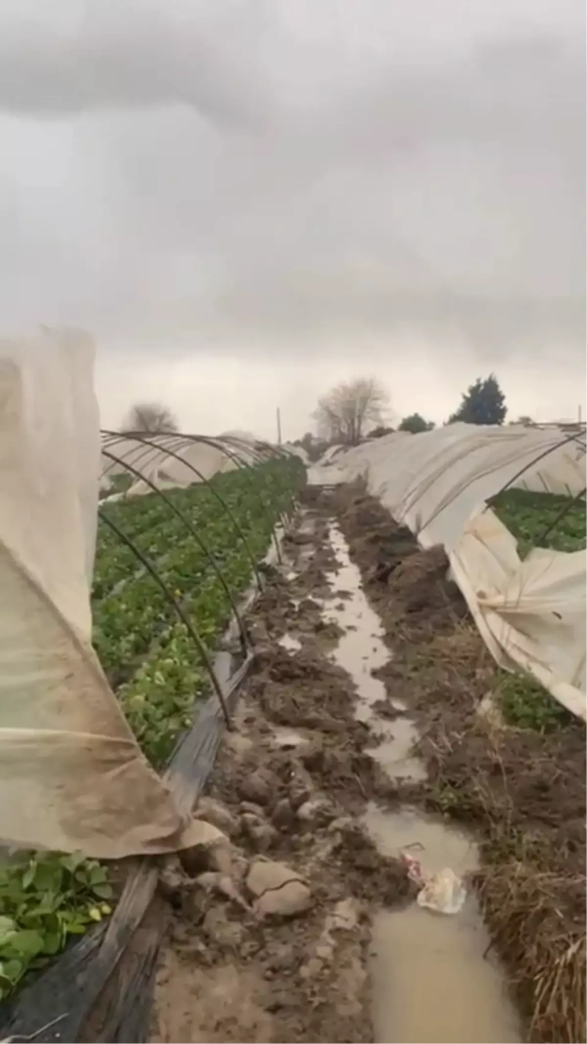 Serik\'te Fırtına Felaketi