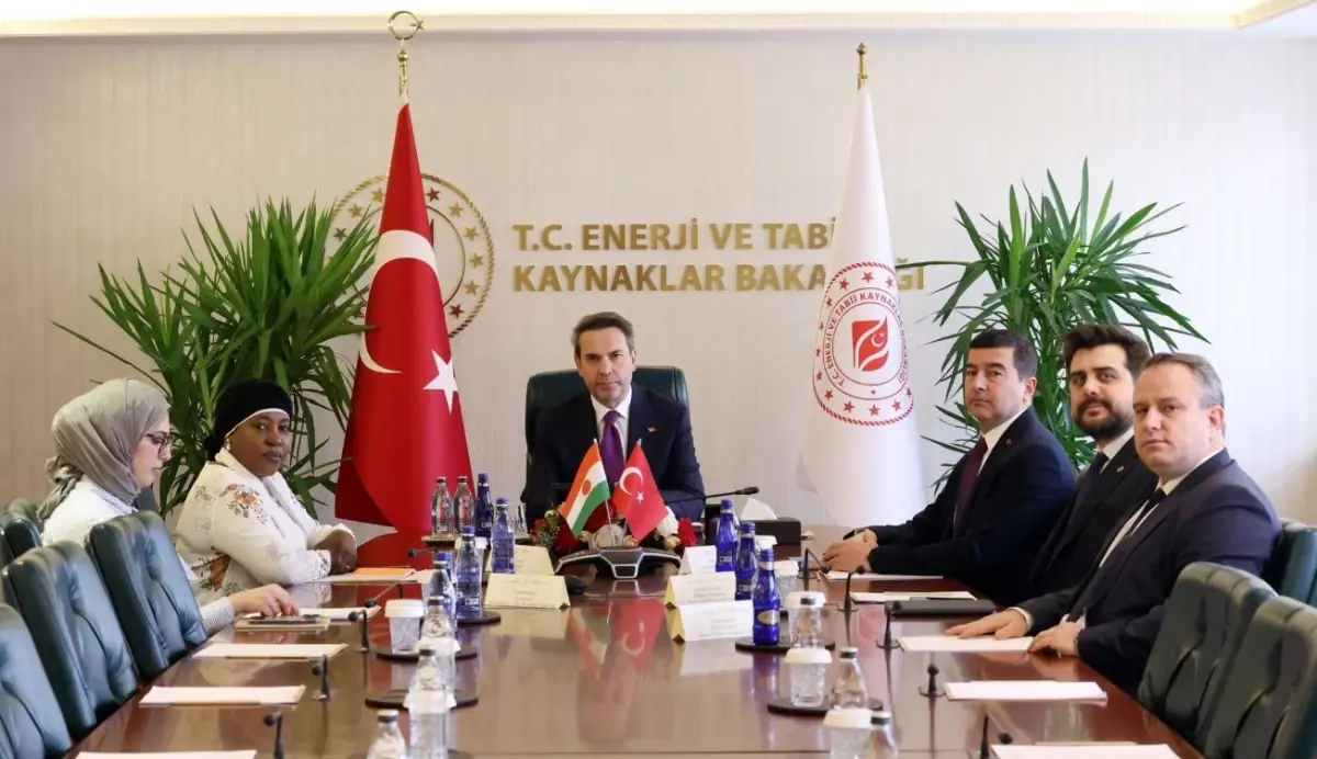 Türkiye-Nijer Enerji İşbirliği