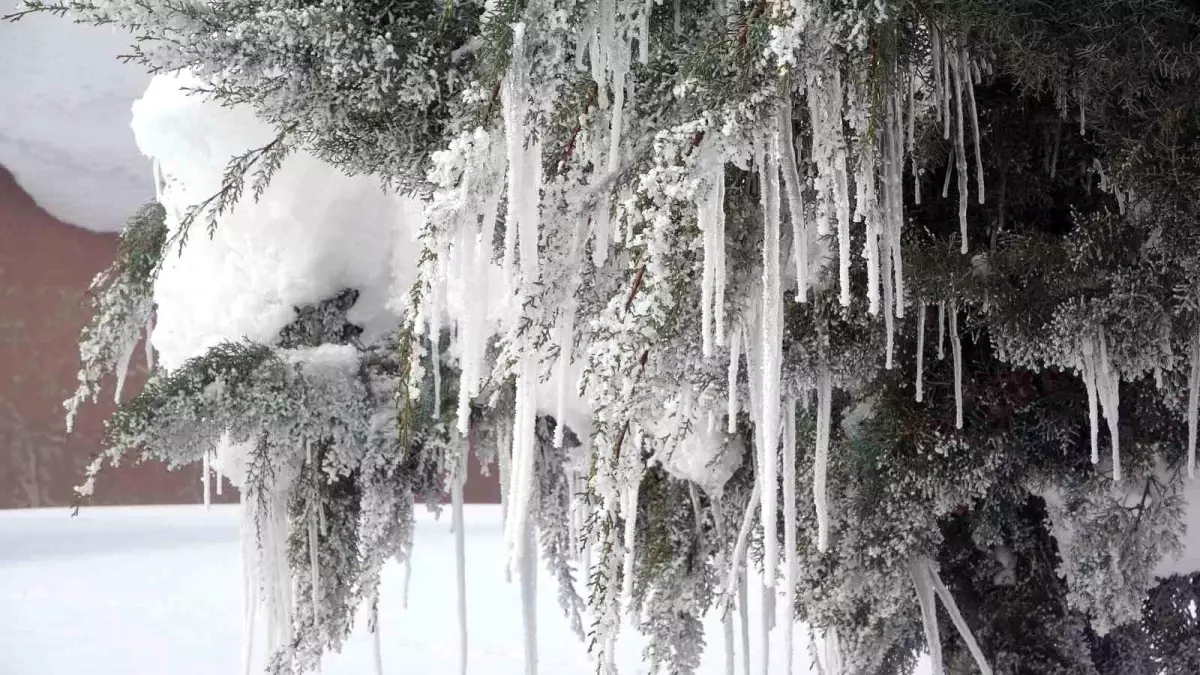 Bitlis\'te karla mücadeleye rekor yakıt harcaması