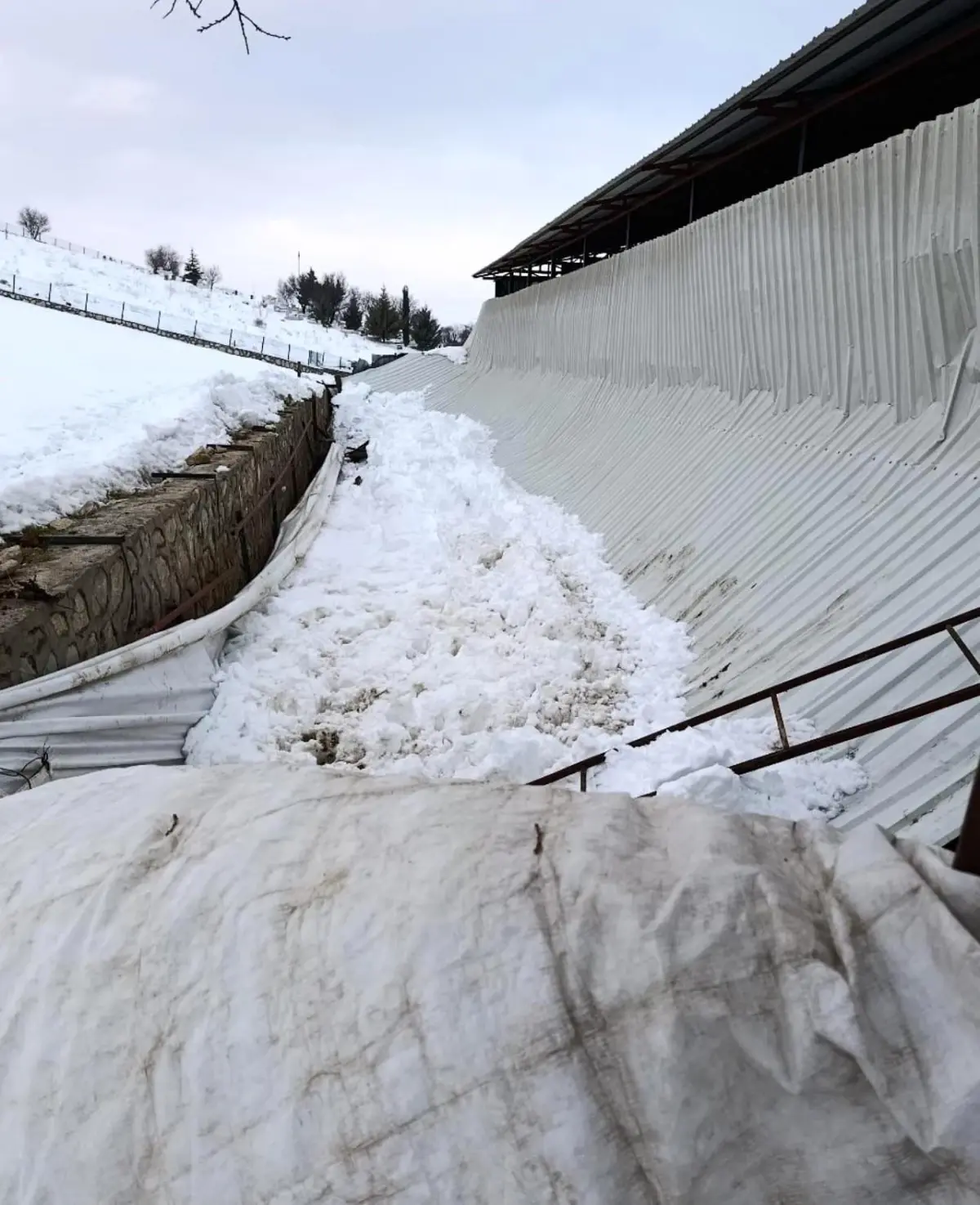 Elazığ\'da Ahır Çöktü, Bir İnek Telef Oldu