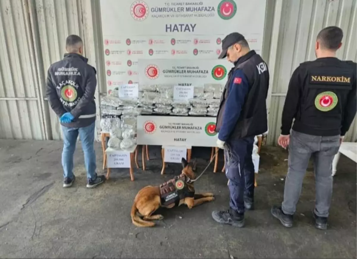 İskenderun Limanı\'nda dev uyuşturucu operasyonu, piyasa değeri tam 560 milyon TL