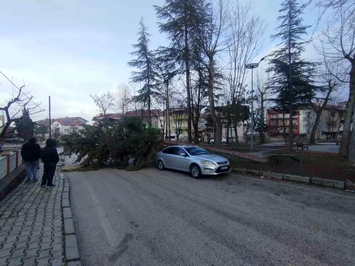 Isparta\'da fırtına ağacı kökünden söküp park halindeki aracın üzerine devirdi