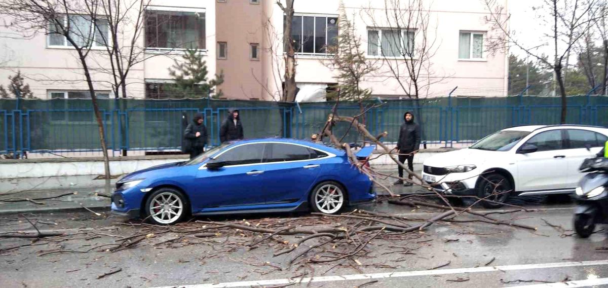 Isparta\'da Fırtına Ağaçları Devrildi