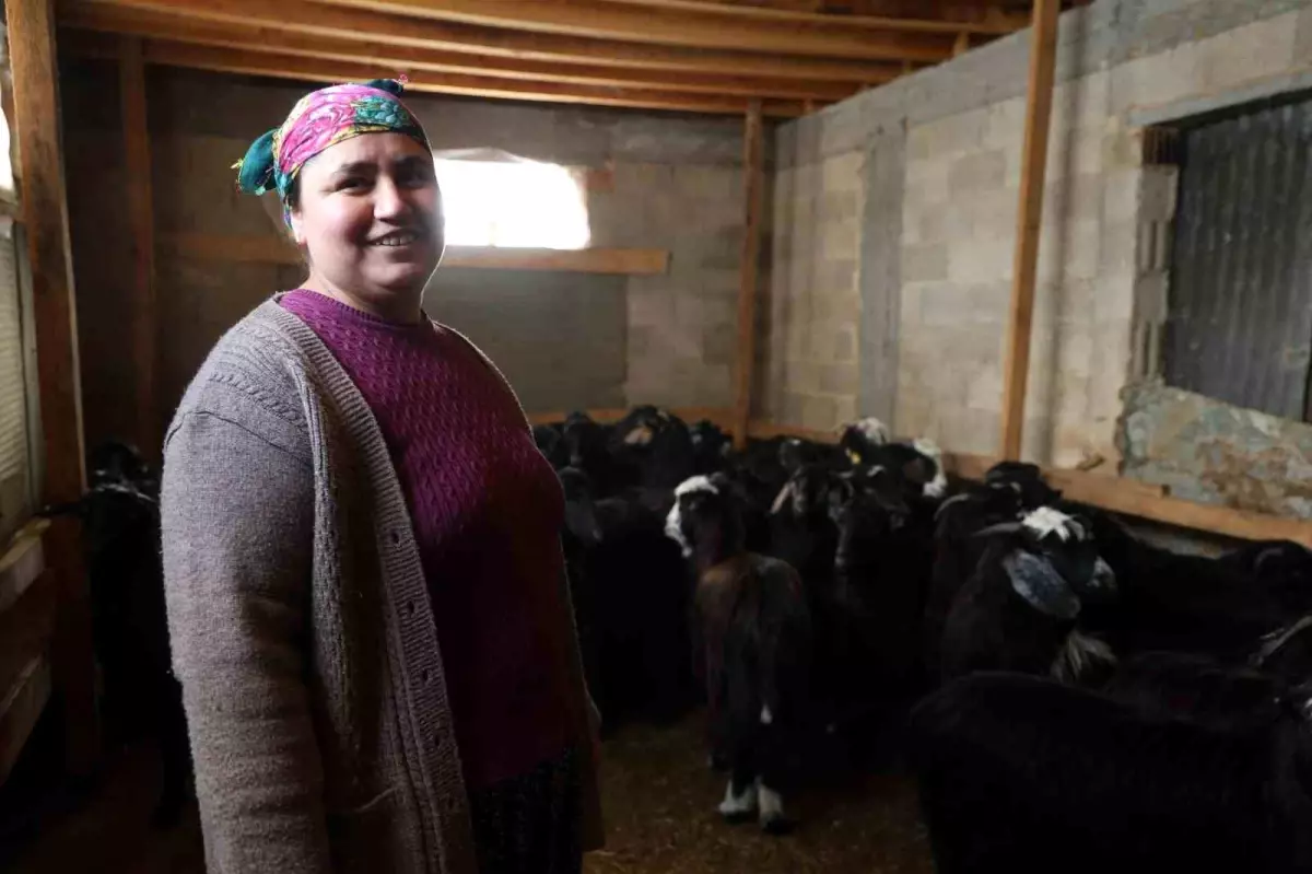 Zorlu Kışta Hayvancılık