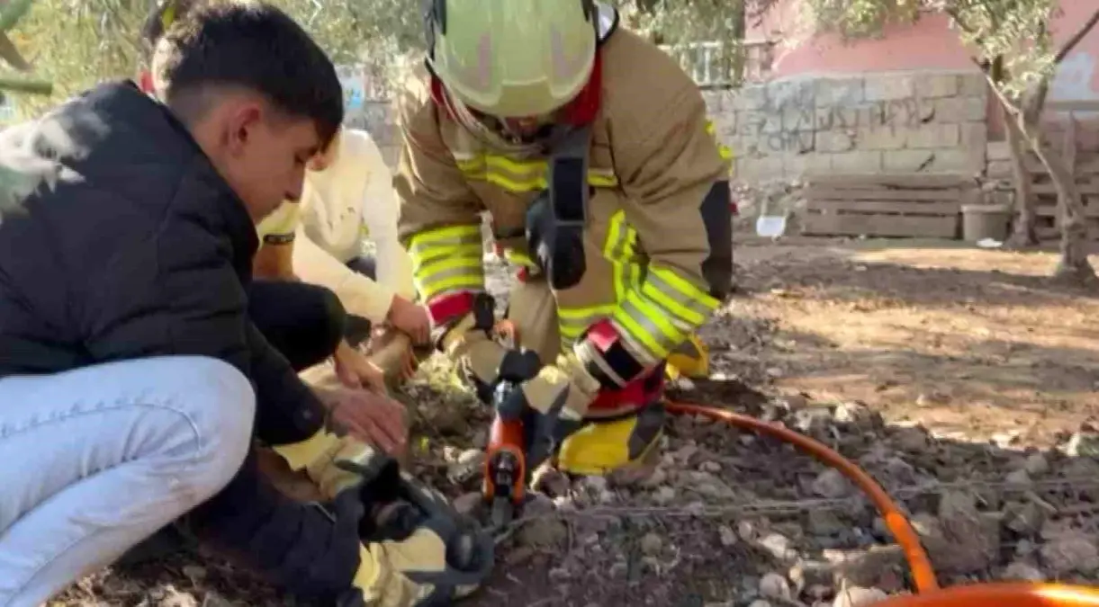 Hatay\'da Zincire Sıkışan Köpeğe İtfaiye Müdahalesi