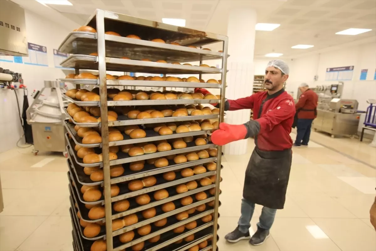 TOGÜ\'de Ekmeği Kendisi Üretiyor