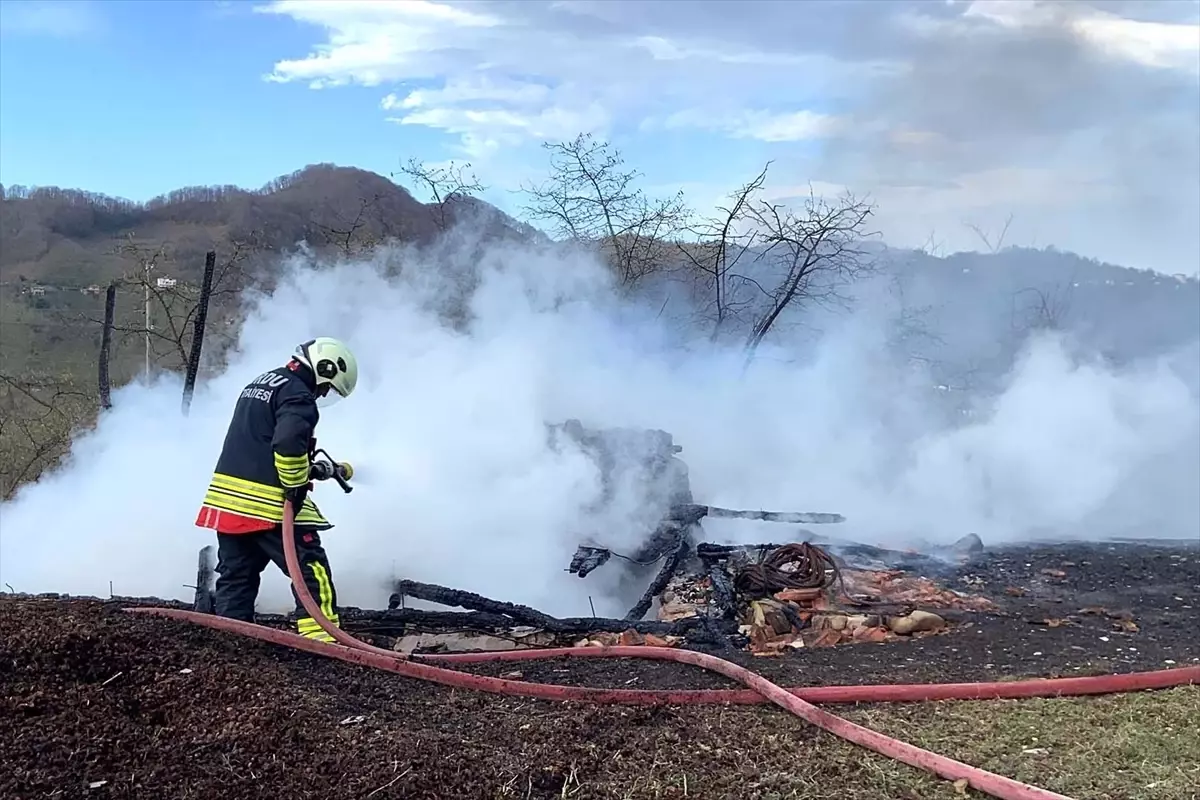 Ünye\'de Samanlıkta Yangın