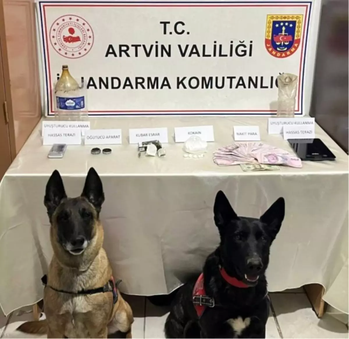 Artvin\'de Uyuşturucu Operasyonu