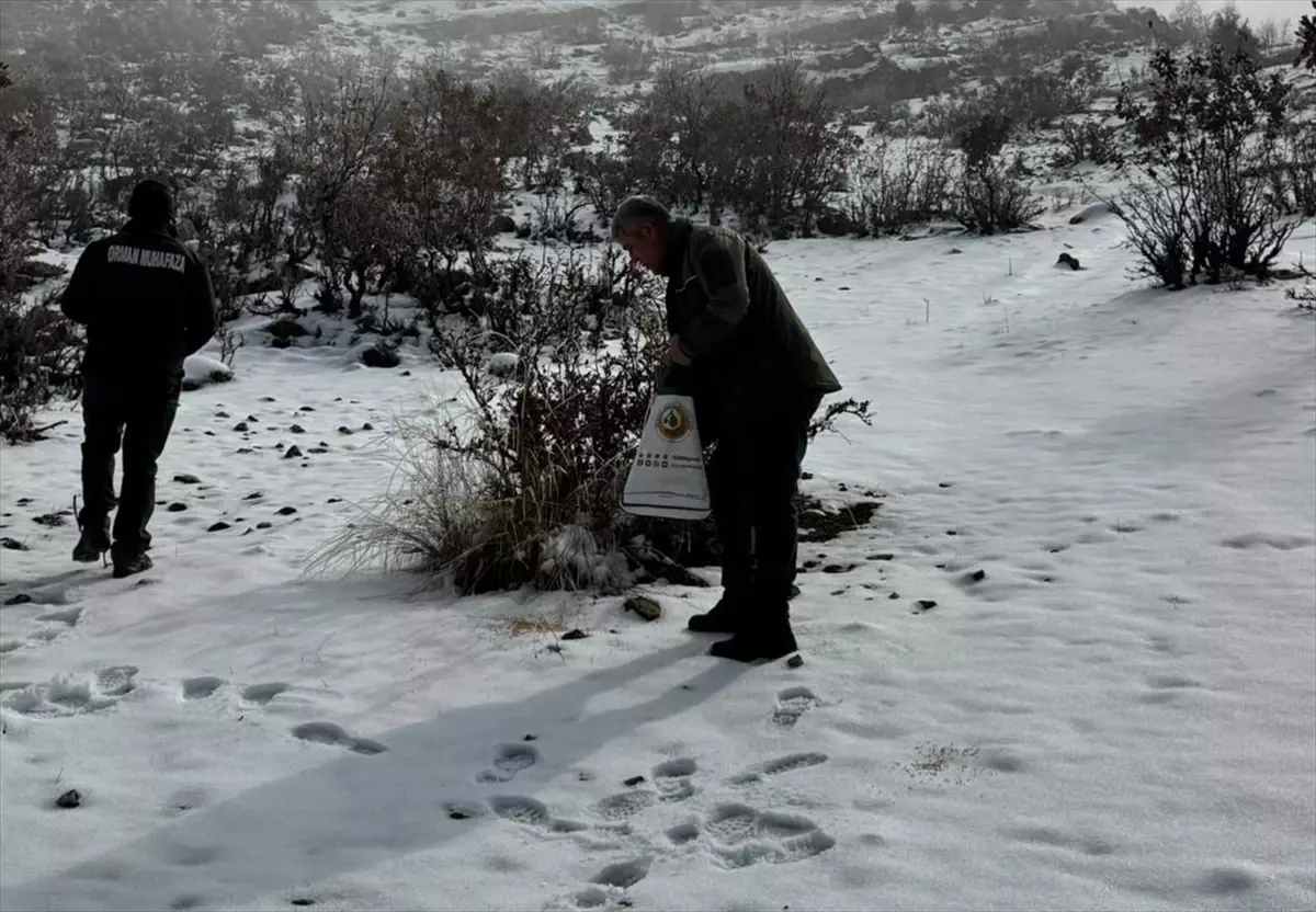 Hasankeyf\'te Yaban Hayvanları İçin Yem Bırakıldı