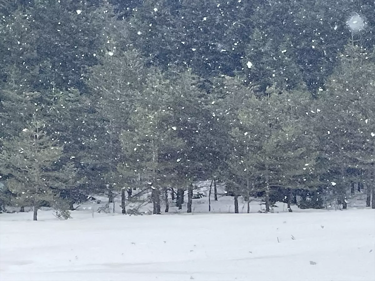 Bolu Yaylalarında Kar Yağışı Başladı