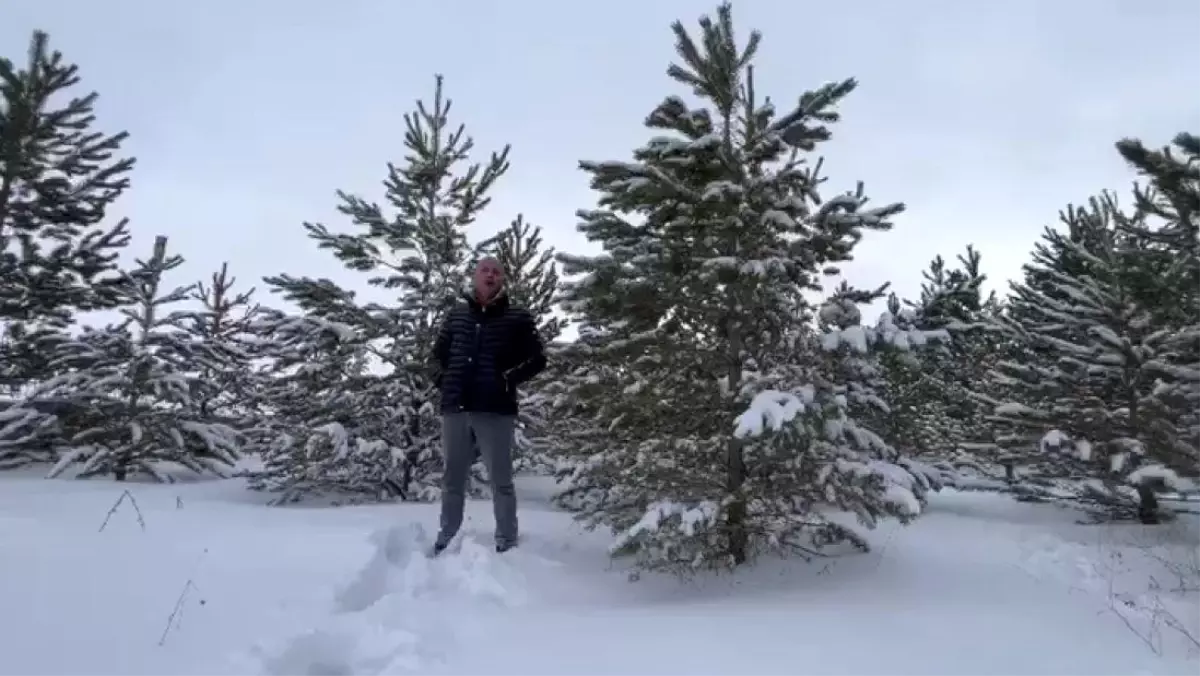 Sivas\'ta Soğukta Cesur Girişim