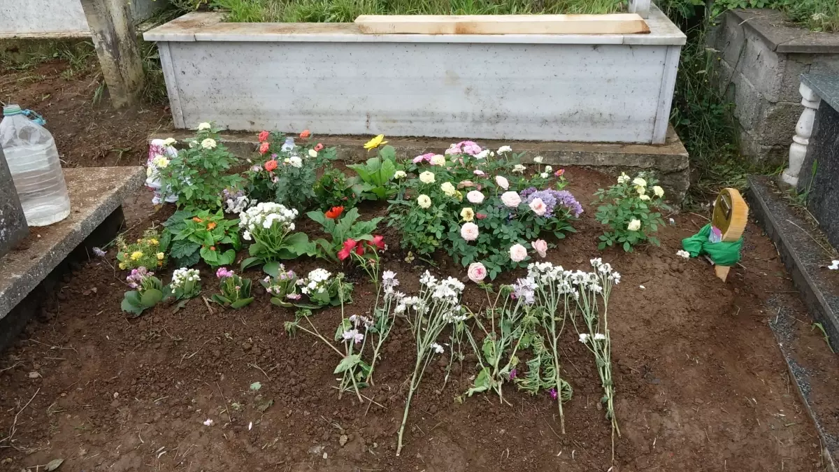 Sinem\'i katleden cani cezaevinden mektup yolladı: Suç işlemeyi göze alarak bunu yapacağım