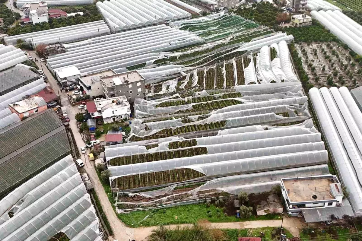 Finike\'de hortumdan zarar gören seralarda hasar tespiti başladı