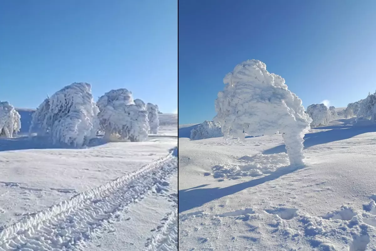 Görüntüler İstanbul\'un yanı başından
