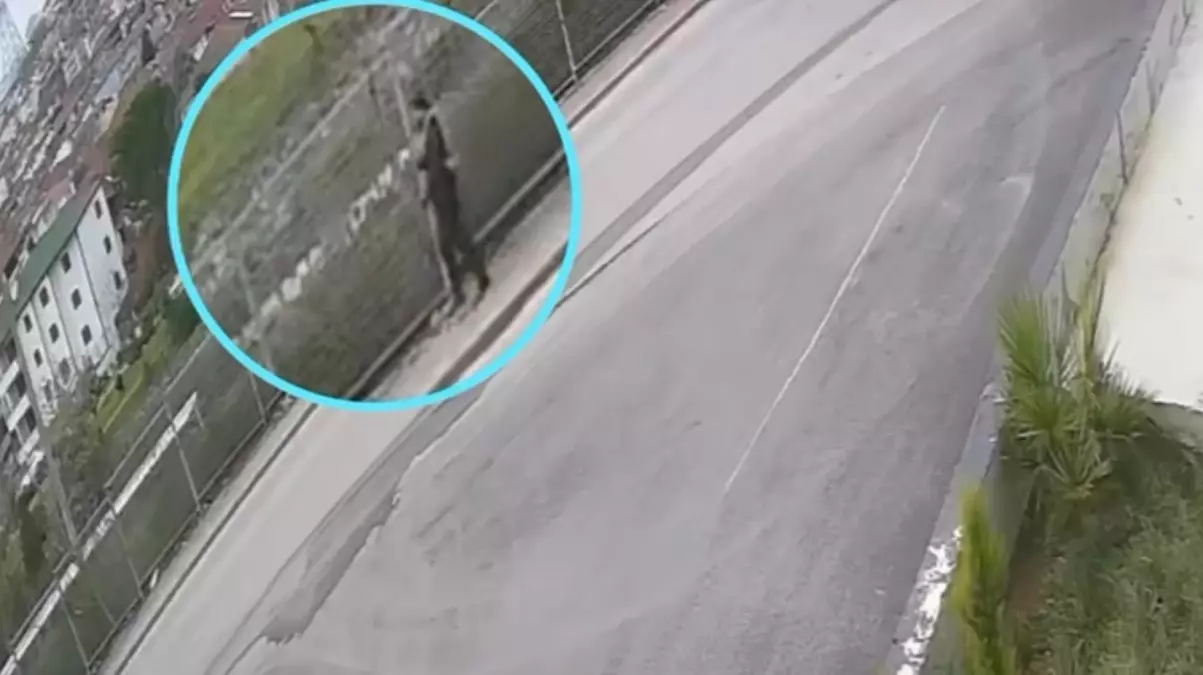 Dolandırıcı Yakalandı