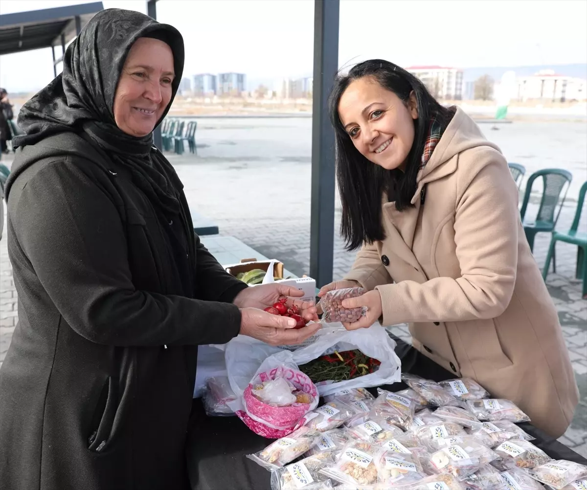 Kocasinan\'da 22.500 Ata Tohumu Dağıtıldı