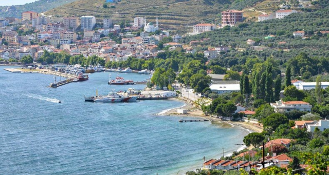 Marmara'da şap hastalığı alarmı