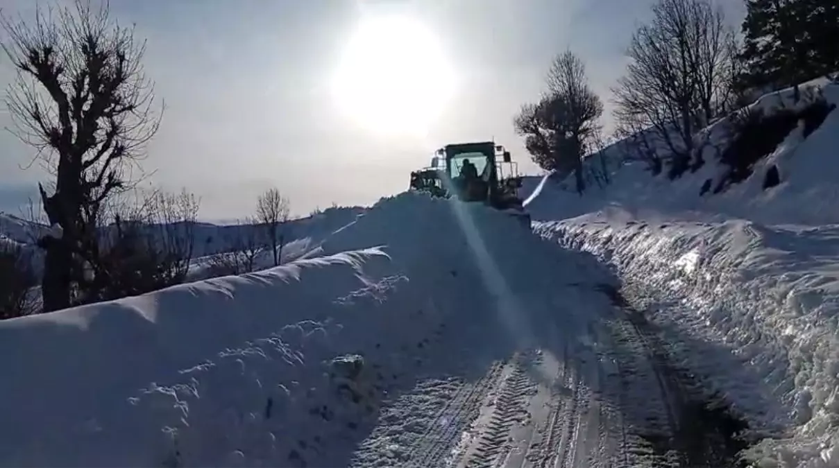 Siirt\'te Kapalı Yollar Açıldı