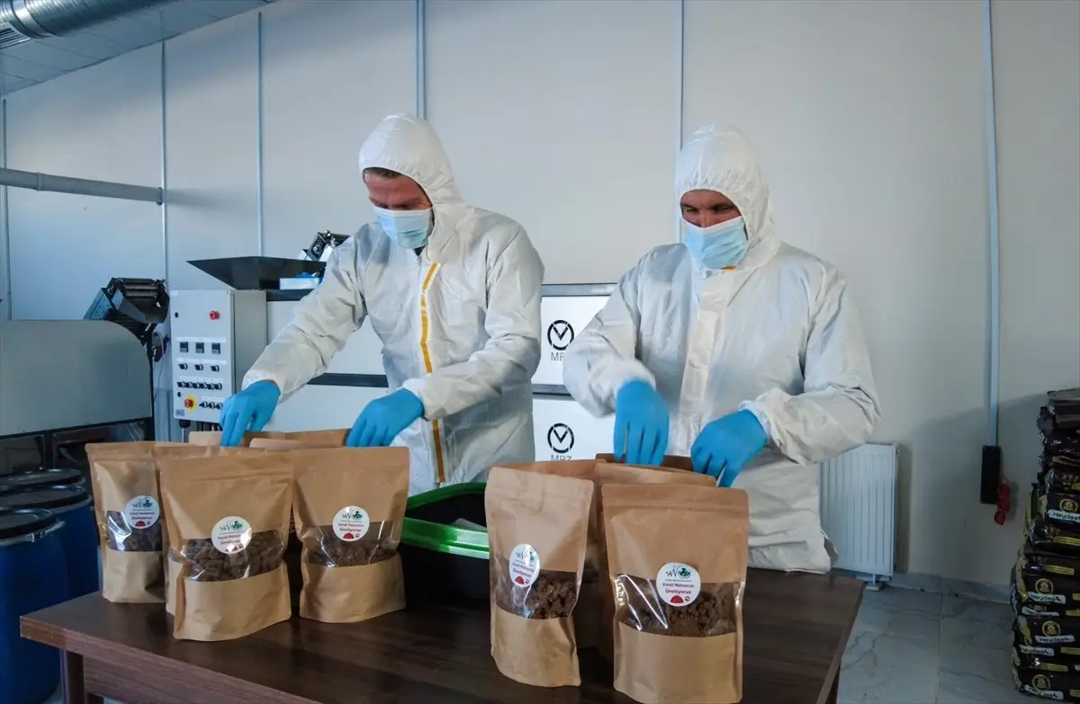 Van\'da Sahipsiz Hayvanlar İçin Mama Üretimi