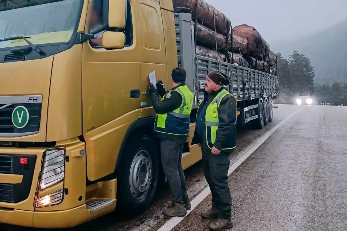 Bolu\'da Orman Denetimleri Sıklaşıyor