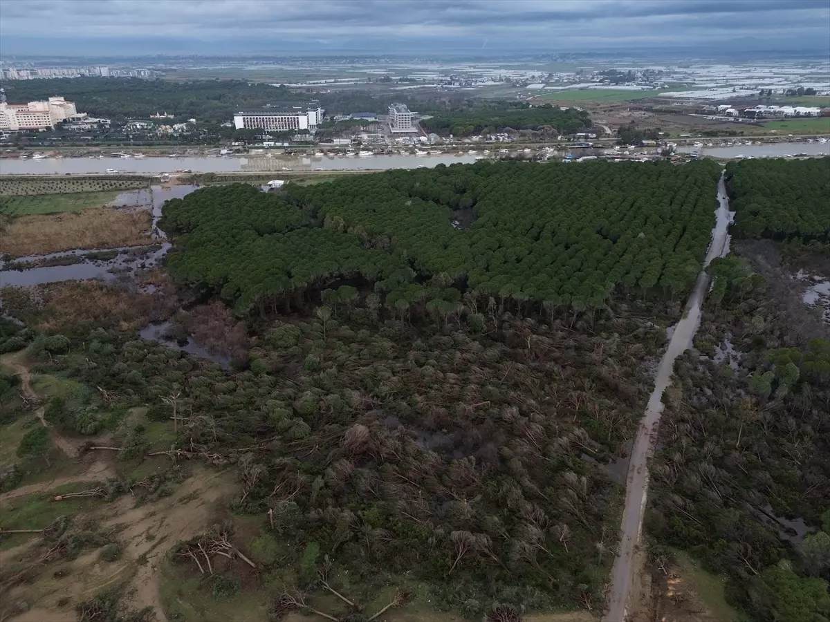 Antalya\'da hortumun zarar verdiği ormanlık alan havadan görüntülendi