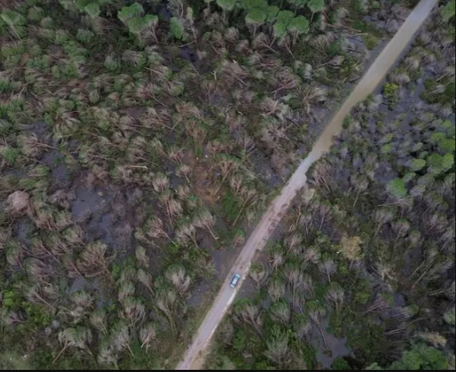 Antalya'da hortumun zarar verdiği ormanlık alan havadan görüntülendi Antalya'da hortumun zarar verdiği ormanlık alan havadan görüntülendi