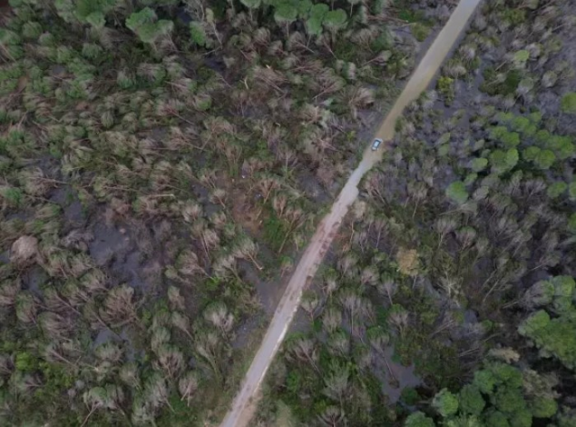 Antalya'da hortumun zarar verdiği ormanlık alan havadan görüntülendi Antalya'da hortumun zarar verdiği ormanlık alan havadan görüntülendi