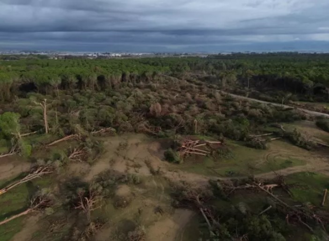 Antalya'da hortumun zarar verdiği ormanlık alan havadan görüntülendi Antalya'da hortumun zarar verdiği ormanlık alan havadan görüntülendi